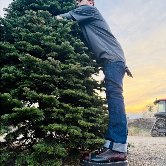 Meet your Posher, Shiva - Picture 7 of 9